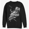 Sweaters And Cardigans * | Null Jurassic World Dino Collage Sweatshirt