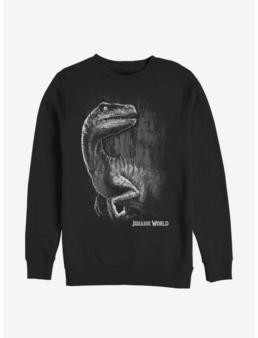 Sweaters And Cardigans * | Null Jurassic World Raptor Smile Sweatshirt