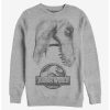 Sweaters And Cardigans * | Null Jurassic World Large Rex Sweatshirt