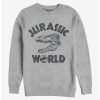 Sweaters And Cardigans * | Null Jurassic World Bone Head Sweatshirt